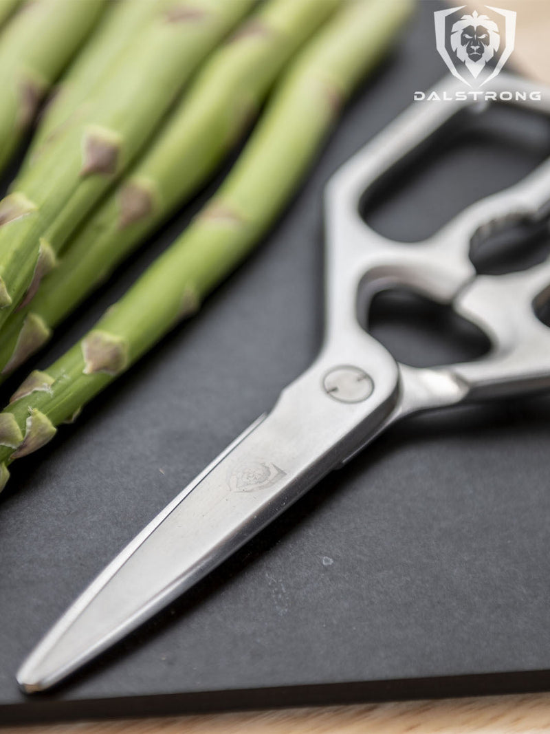 Professional Kitchen Scissors | 420J2 Stainless Steel | Dalstrong ©