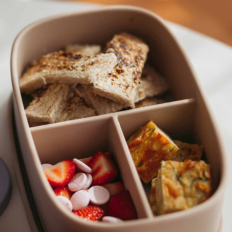 Silicone Large Lunch Box Pebble