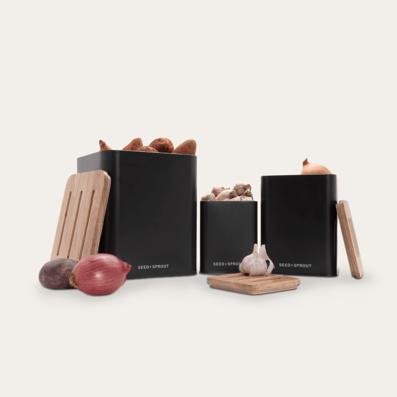 Vegetable Storage Containers | Liquorice | Pre Order