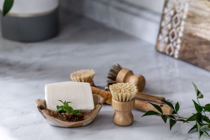 Zero Waste Kitchen Kit - Wooden Dish Brushes (4-Pack)