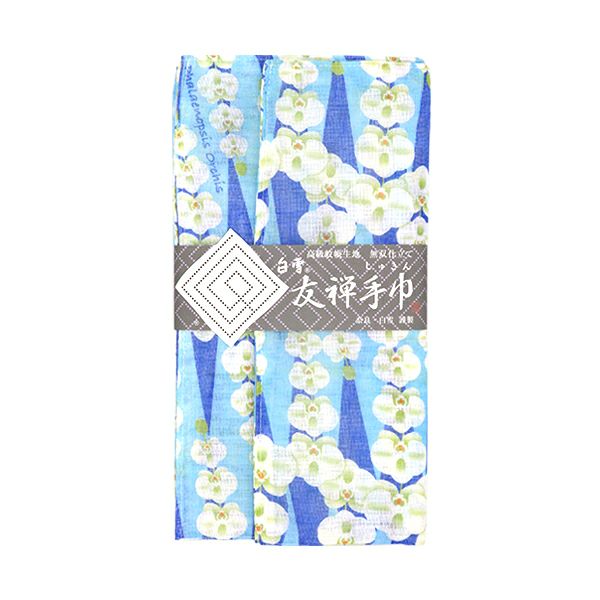 Limited Edition: The Phalaenopsis Orchids Kitchen Bundle